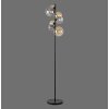 Paul Neuhaus POPSICLE Floor Lamp LED black, 7-light sources