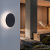 Paul Neuhaus PUNTUA Outdoor Wall Light LED anthracite, 1-light source