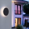Paul Neuhaus PUNTUA Outdoor Wall Light LED anthracite, 1-light source