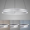 Paul Neuhaus PURE E-LOOP Pendant Light LED silver, 2-light sources, Remote control