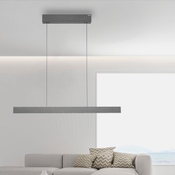 Paul Neuhaus PURE E-MOTION Pendant Light LED grey, 1-light source, Remote control