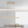 Paul Neuhaus PURE E-MOTION Pendant Light LED gold, 1-light source, Remote control