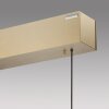 Paul Neuhaus PURE E-MOTION Pendant Light LED gold, 1-light source, Remote control