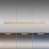 Paul Neuhaus PURE E-MOTION Pendant Light LED gold, 1-light source, Remote control