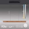 Paul Neuhaus PURE E-MOTION Pendant Light LED Wood like finish, black, 1-light source, Remote control