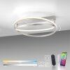 Paul Neuhaus Q-BELUGA Ceiling Light LED silver, 1-light source, Remote control