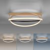 Paul Neuhaus Q-BELUGA Ceiling Light LED gold, 1-light source, Remote control