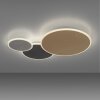 Paul Neuhaus Q-PIATO Ceiling Light LED white, 1-light source, Remote control