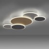 Paul Neuhaus Q-PIATO Ceiling Light LED white, 1-light source, Remote control