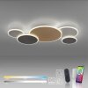 Paul Neuhaus Q-PIATO Ceiling Light LED white, 1-light source, Remote control