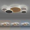 Paul Neuhaus Q-PIATO Ceiling Light LED white, 1-light source, Remote control