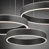 Paul Neuhaus SCULLI Pendant Light LED black, 2-light sources