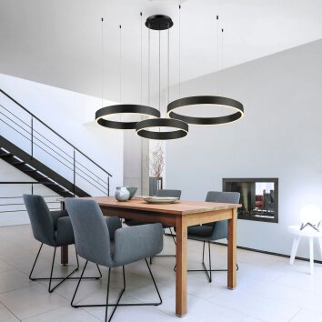 Paul Neuhaus SCULLI Pendant Light LED black, 2-light sources