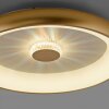 Leuchten-Direkt VERTIGO Ceiling Light LED gold, 1-light source, Remote control