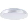 Brilliant LIVIUS Ceiling Light LED silver, 1-light source
