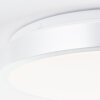 Brilliant LIVIUS Ceiling Light LED silver, 1-light source
