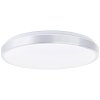 Brilliant LIVIUS Ceiling Light LED silver, 1-light source, Remote control