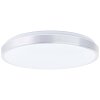 Brilliant LIVIUS Ceiling Light LED silver, 1-light source, Remote control