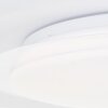 Brilliant VITTORIA Ceiling Light LED white, 1-light source