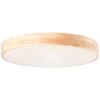 Brilliant SLIMLINE Ceiling Light LED white, 1-light source, Remote control