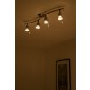EGLO ceiling spotlight gold, brass, white