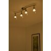 EGLO ceiling spotlight gold, brass, white