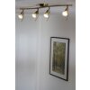 EGLO ceiling spotlight gold, brass, white