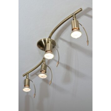 EGLO ceiling spotlight gold, brass, white