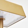 ALGERAZ Table lamp LED brass, 1-light source
