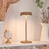 ALGERAZ Table lamp LED brass, 1-light source