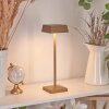 ALGERAZ Table lamp LED brass, 1-light source