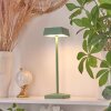 ALGERAZ Table lamp LED green, 1-light source