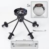 KOYOTO Ceiling Light - glass chrome, Smoke-coloured, 5-light sources