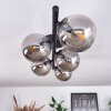 CHEHALIS Ceiling Light Smoke-coloured, 5-light sources