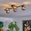 CHEHALIS Ceiling Light Smoke-coloured, 5-light sources