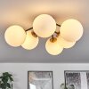 CHEHALIS Ceiling Light gold, black, 6-light sources