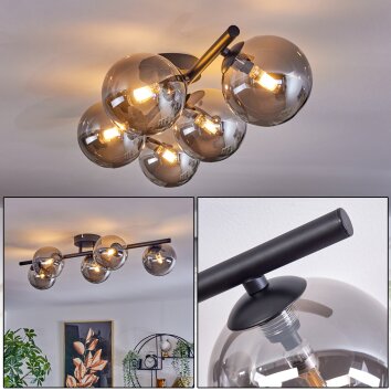 CHEHALIS Ceiling Light Smoke-coloured, 5-light sources