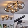 CHEHALIS Ceiling Light Smoke-coloured, 5-light sources