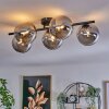 CHEHALIS Ceiling Light Smoke-coloured, 5-light sources