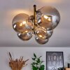 CHEHALIS Ceiling Light Smoke-coloured, 5-light sources
