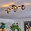 CHEHALIS Ceiling Light clear, Smoke-coloured, 5-light sources