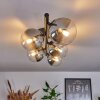 CHEHALIS Ceiling Light clear, Smoke-coloured, 5-light sources