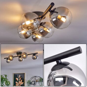CHEHALIS Ceiling Light clear, Smoke-coloured, 5-light sources