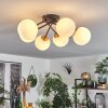 CHEHALIS Ceiling Light gold, black, 6-light sources