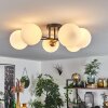 CHEHALIS Ceiling Light gold, black, 6-light sources
