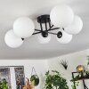 CHEHALIS Ceiling Light white, 6-light sources