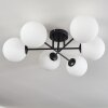CHEHALIS Ceiling Light white, 6-light sources