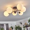 CHEHALIS Ceiling Light white, 6-light sources