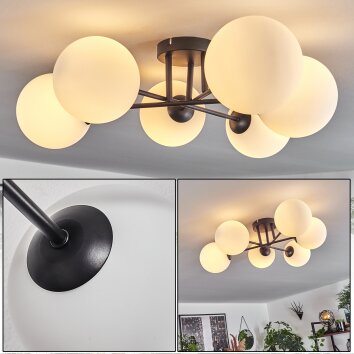 CHEHALIS Ceiling Light white, 6-light sources