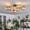 CHEHALIS Ceiling Light Amber, clear, 6-light sources